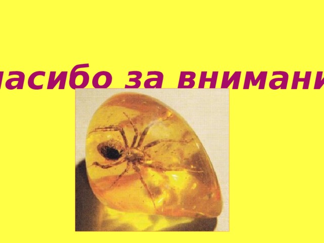 Спасибо за внимание Спасибо за внимание  