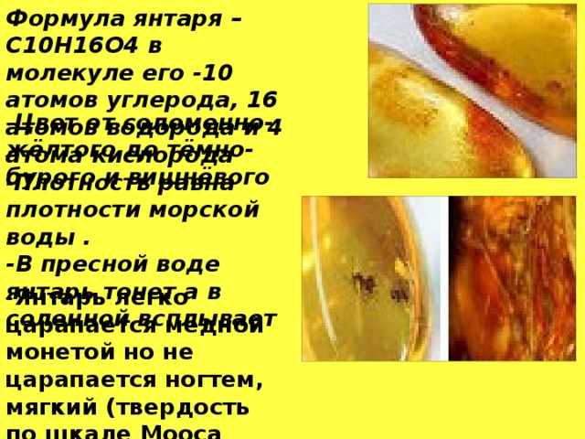 Формула янтаря – C10H16O4 в молекуле его -10 атомов углерода, 16 атомов водорода и 4 атома кислорода - Цвет от соломенно-жёлтого до тёмно-бурого и вишнёвого - Плотность равна плотности морской воды . -В пресной воде янтарь тонет а в соленной всплывает Температура плавления янтаря—287°С - Янтарь легко царапается медной монетой но не царапается ногтем, мягкий (твердость по шкале Мооса равна 2,5).   