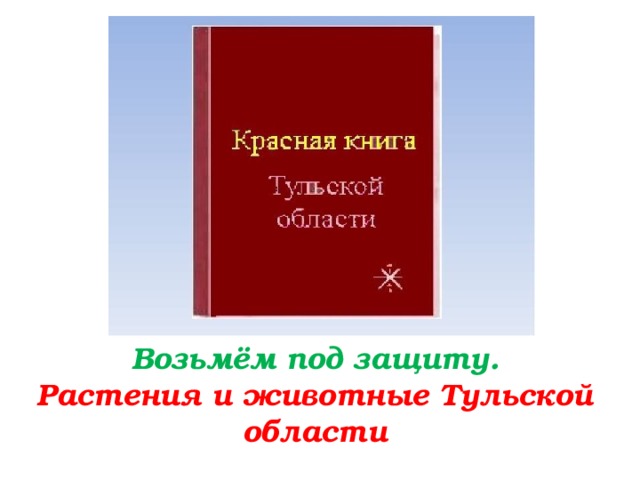 Возьмём под защиту.  Растения и животные Тульской области 
