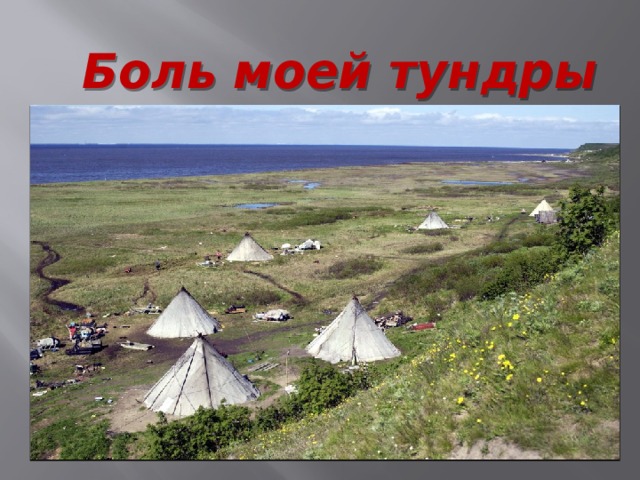  Боль моей тундры А пока, Эдейка в школе делает доклад. « Боль моей тундры». И звучит он, как набат.  
