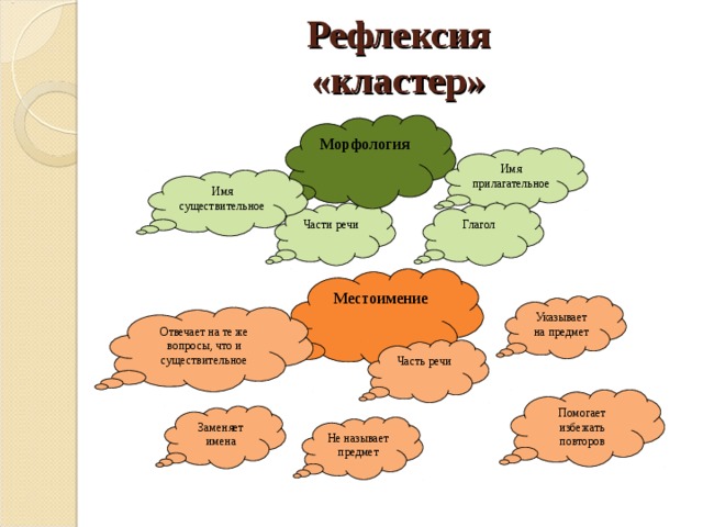 Рефлексия  «кластер» Морфология Имя прилагательное Имя существительное Части речи Глагол Местоимение Указывает на предмет Отвечает на те же вопросы, что и существительное Часть речи Помогает избежать повторов Заменяет имена Не называет предмет 