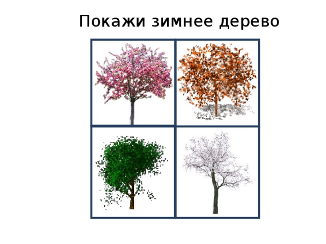 Покажи зимнее дерево 