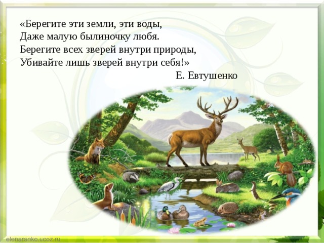 «Берегите эти земли, эти воды, Даже малую былиночку любя. Берегите всех зверей внутри природы, Убивайте лишь зверей внутри себя!» Е. Евтушенко