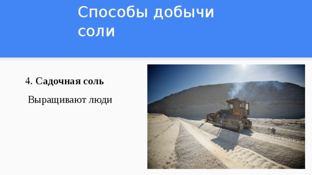 Способы добычи соли 4. Садочная соль   Выращивают люди 