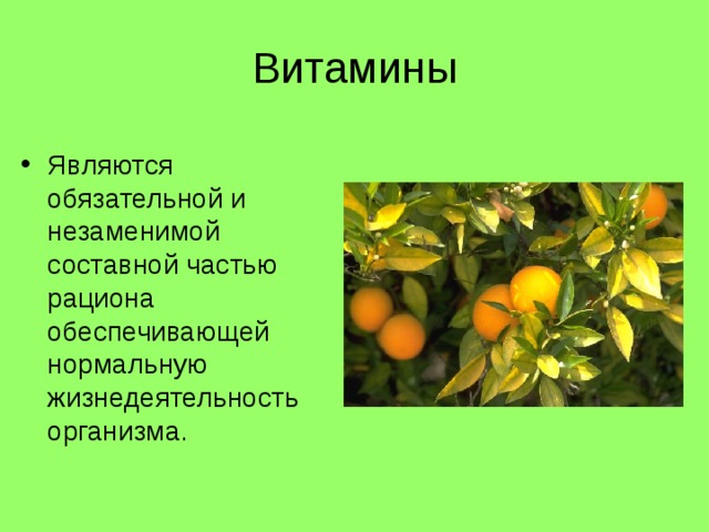 Витамины Являются обязательной и незаменимой составной частью рациона обеспечивающей нормальную жизнедеятельность организма. 
