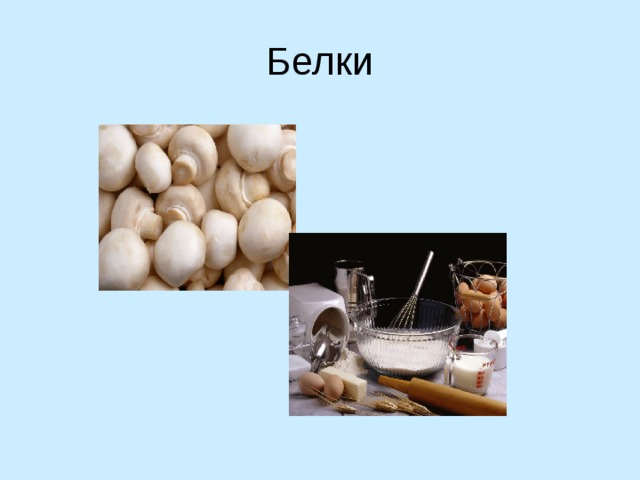 Белки 