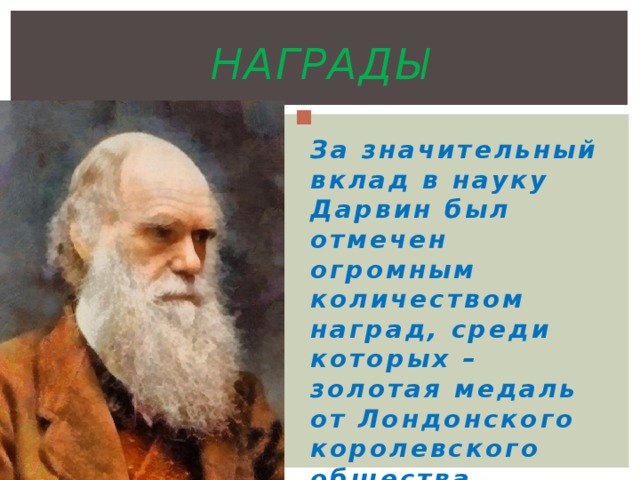 награды  За значительный вклад в науку Дарвин был отмечен огромным количеством наград, среди которых – золотая медаль от Лондонского королевского общества 