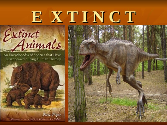 E X T I N C T 