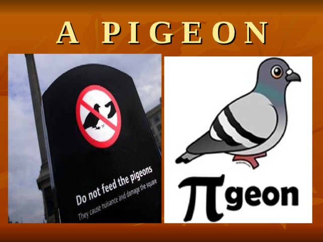 A P I G E O N 