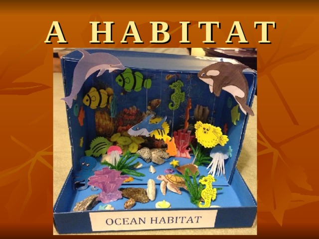 A H A B I T A T 