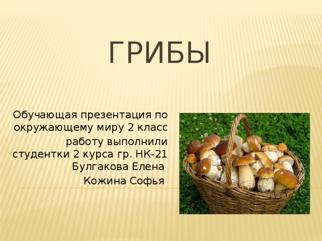 Грибы Обучающая презентация по окружающему миру 2 класс работу выполнили студентки 2 курса гр. НК-21 Булгакова Елена Кожина Софья 