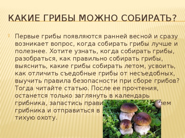 Какие грибы можно собирать? Первые грибы появляются ранней весной и сразу возникает вопрос, когда собирать грибы лучше и полезнее. Хотите узнать, когда собирать грибы, разобраться, как правильно собирать грибы, выяснить, какие грибы собирать летом, усвоить, как отличить съедобные грибы от несъедобных, выучить правила безопасности при сборе грибов? Тогда читайте статью. После ее прочтения, останется только заглянуть в календарь грибника, запастись правильным снаряжением грибника и отправиться в лес за грибами на тихую охоту. 
