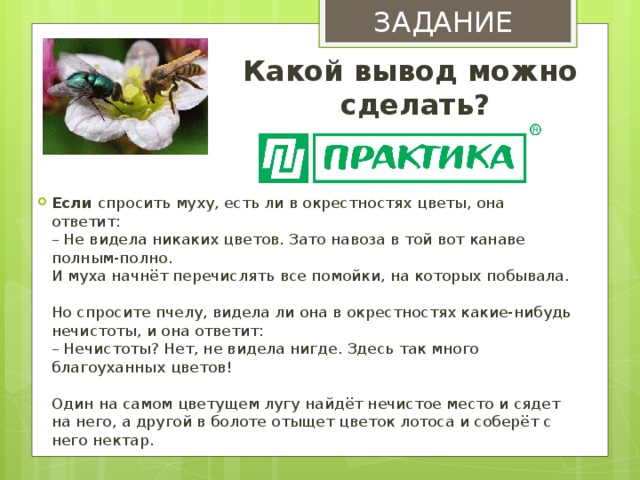 ЗАДАНИЕ Какой вывод можно сделать? Если  спросить муху, есть ли в окрестностях цветы, она ответит:  – Не видела никаких цветов. Зато навоза в той вот канаве полным-полно.  И муха начнёт перечислять все помойки, на которых побывала.   Но спросите пчелу, видела ли она в окрестностях какие-нибудь нечистоты, и она ответит:  – Нечистоты? Нет, не видела нигде. Здесь так много благоуханных цветов!   Один на самом цветущем лугу найдёт нечистое место и сядет на него, а другой в болоте отыщет цветок лотоса и соберёт с него нектар. 