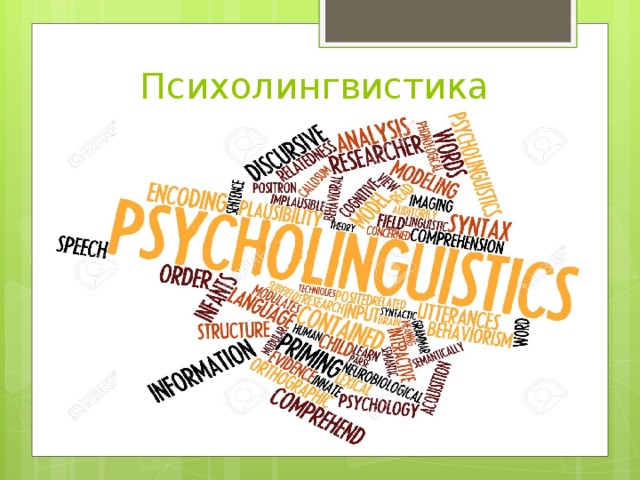 Психолингвистика 