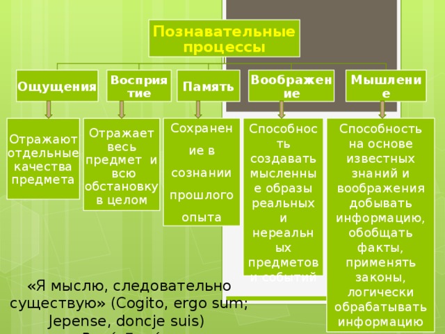 Познавательные процессы Ощущения Восприятие Память Воображение Мышление Сохранение в сознании прошлого опыта Способность создавать мысленные образы реальных и нереальных предметов и событий Способность на основе известных знаний и воображения добывать информацию, обобщать факты, применять законы, логически обрабатывать информацию Отражает весь предмет и всю обстановку в целом Отражают отдельные качества предмета «Я мыслю, следовательно существую» (Cogito, ergo sum; Jepense, doncje suis) Рене́ Дека́рт 