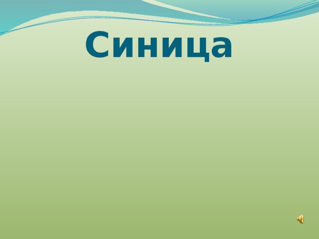 Синица 