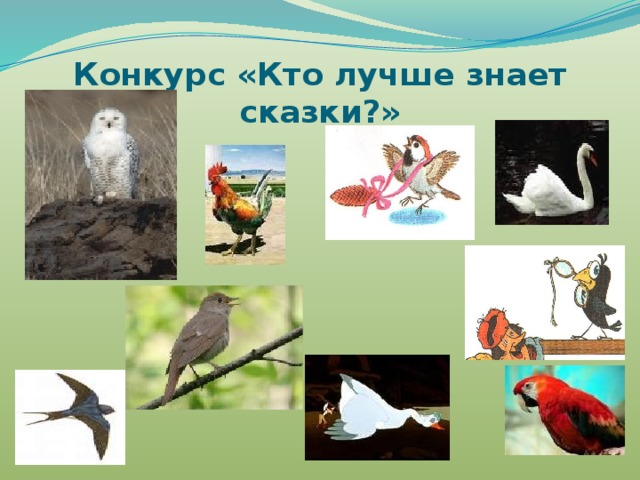 Конкурс «Кто лучше знает сказки?» 