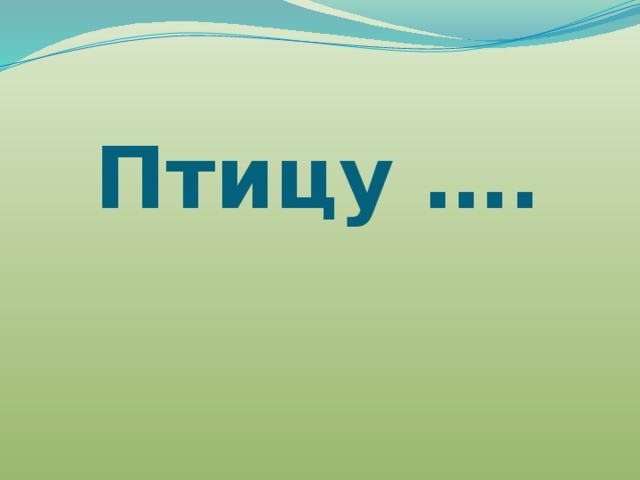 Птицу …. 