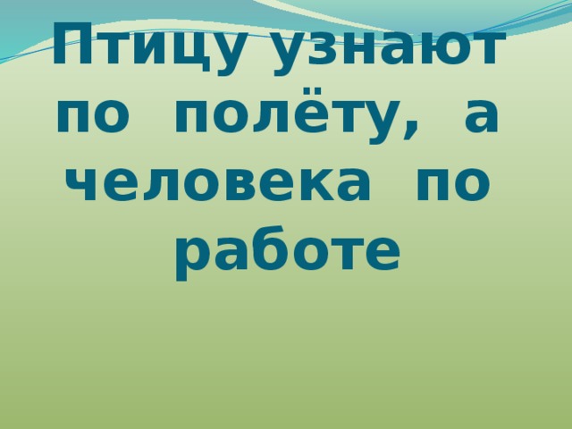 Птицу узнают по полёту, а человека по работе   