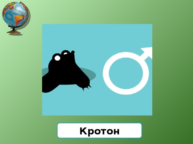 Кротон 
