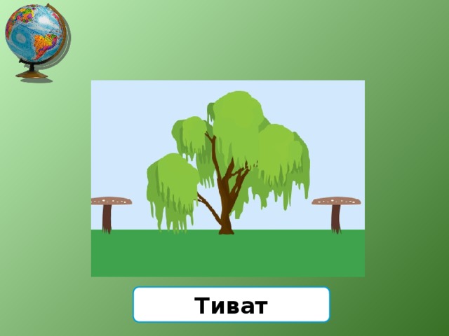 Тиват 