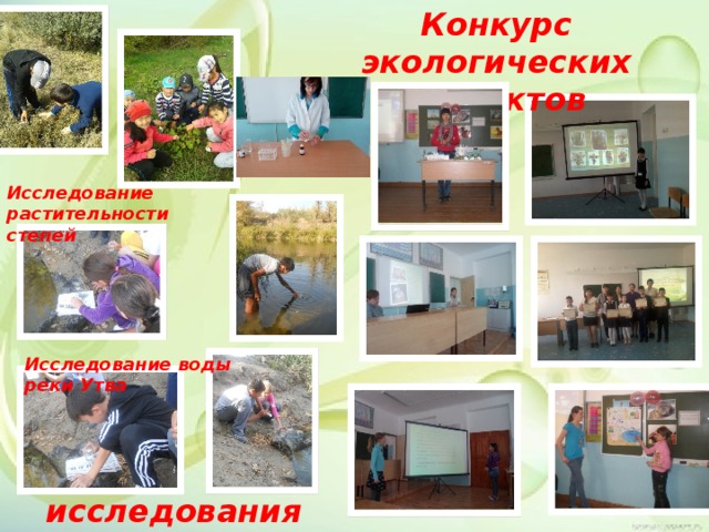 Конкурс экологических проектов Исследование растительности степей Исследование воды реки Утва исследования 