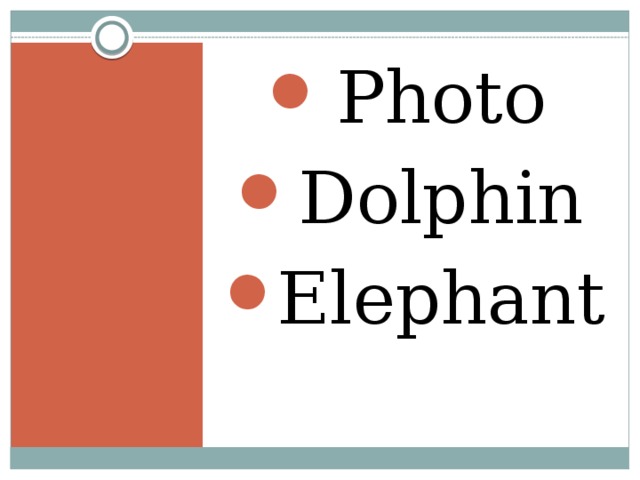 Photo Dolphin Elephant 