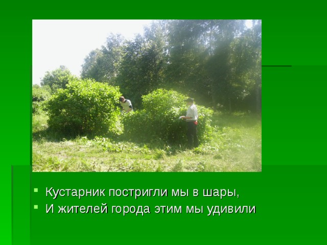 Кустарник постригли мы в шары, И жителей города этим мы удивили 