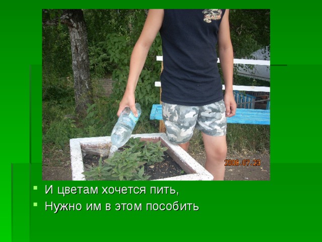 И цветам хочется пить, Нужно им в этом пособить 