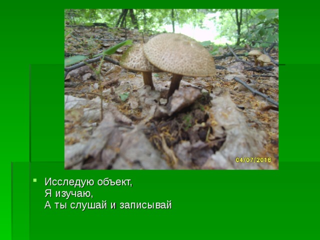 Исследую объект,  Я изучаю,  А ты слушай и записывай 