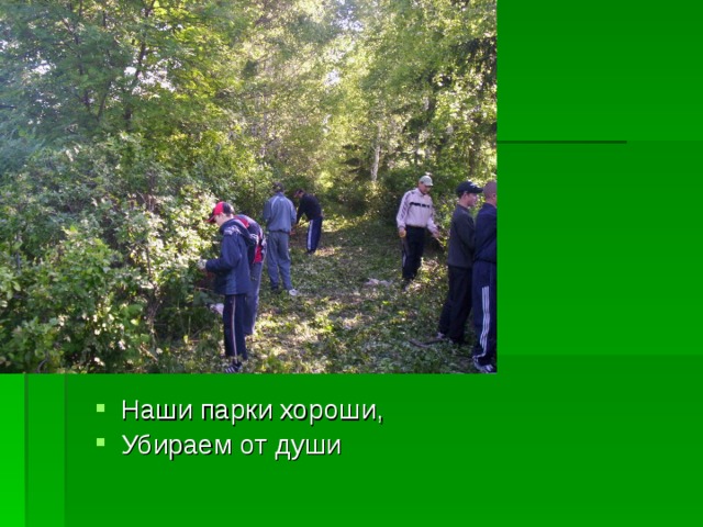 Наши парки хороши, Убираем от души 