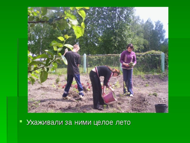 Ухаживали за ними целое лето 