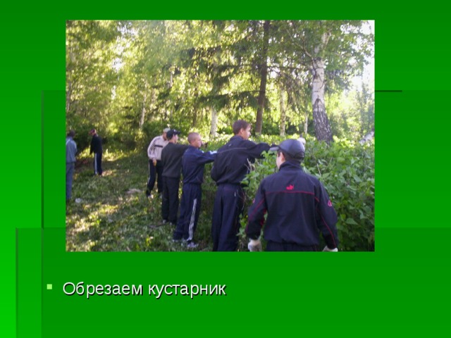 Обрезаем кустарник 