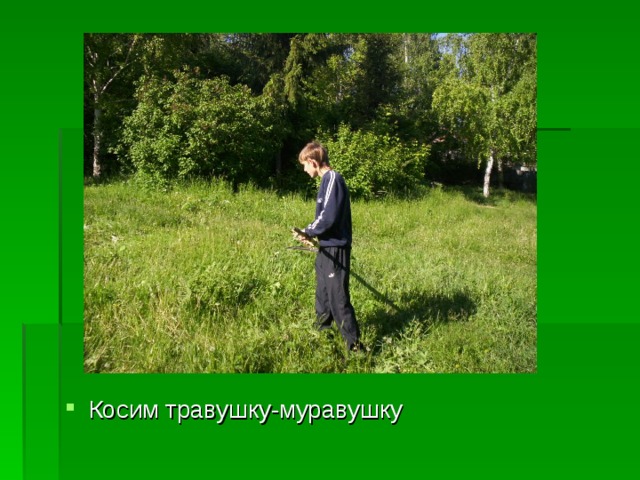 Косим травушку-муравушку 