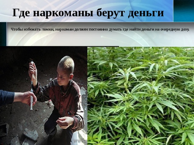 Где наркоманы берут деньги Чтобы избежать ломки, наркоман должен постоянно думать где найти деньги на очередную дозу. 