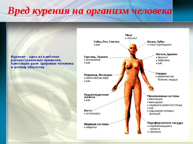 Вред курения на организм человека  Курение – одна из наиболее распространенных привычек, наносящих урон здоровью человека и целому обществу .   