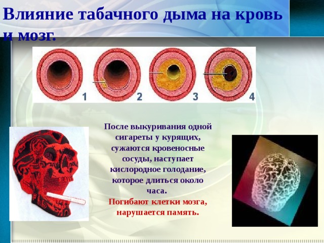 Влияние табачного дыма на кровь и мозг.  После выкуривания одной сигареты у курящих, сужаются кровеносные сосуды, наступает кислородное голодание, которое длиться около часа. Погибают клетки мозга, нарушается память.  