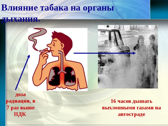 Влияние табака на органы дыхания. доза радиации, в 7 раз выше ПДК 16 часов дышать выхлопными газами на автостраде  