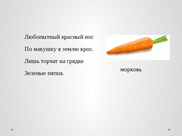  Любoпытный крacный нoc  Пo мaкушку в землю врoc.  Лишь тoрчaт нa грядке  Зеленые пятки. мoркoвь 