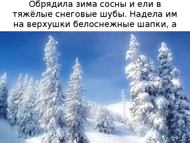 Обрядила зима сосны и ели в тяжёлые снеговые шубы. Надела им на верхушки белоснежные шапки, а на ветки – пуховые варежки. 