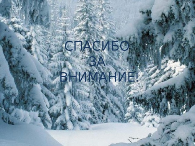 СПАСИБО ЗА ВНИМАНИЕ ! 
