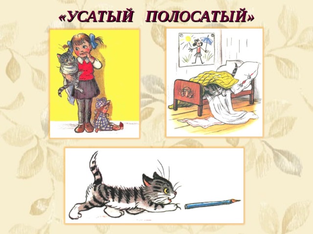 «УСАТЫЙ ПОЛОСАТЫЙ» 
