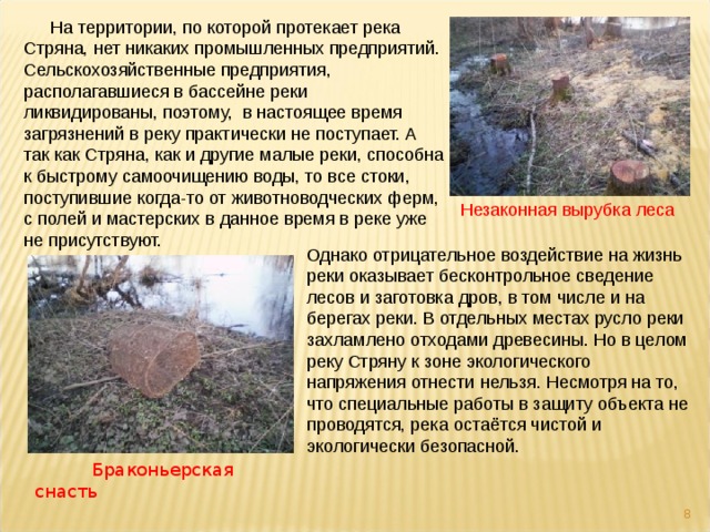 На территории, по которой протекает река Стряна, нет никаких промышленных предприятий. Сельскохозяйственные предприятия, располагавшиеся в бассейне реки ликвидированы, поэтому, в настоящее время загрязнений в реку практически не поступает. А так как Стряна, как и другие малые реки, способна к быстрому самоочищению воды, то все стоки, поступившие когда-то от животноводческих ферм, с полей и мастерских в данное время в реке уже не присутствуют.  Незаконная вырубка леса Однако отрицательное воздействие на жизнь реки оказывает бесконтрольное сведение лесов и заготовка дров, в том числе и на берегах реки. В отдельных местах русло реки захламлено отходами древесины. Но в целом реку Стряну к зоне экологического напряжения отнести нельзя. Несмотря на то, что специальные работы в защиту объекта не проводятся, река остаётся чистой и экологически безопасной.  Браконьерская снасть  