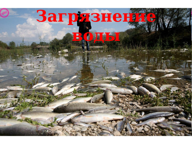 Загрязнение воды 