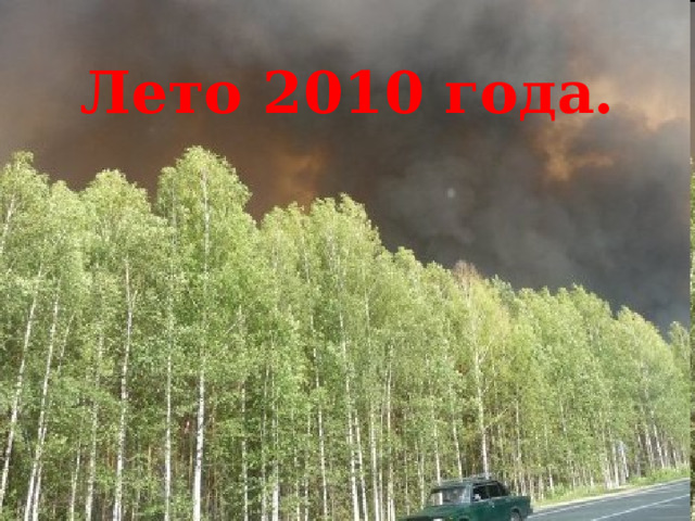 Лето 2010 года. 