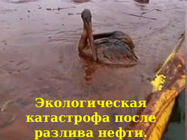 Экологическая катастрофа после разлива нефти. 