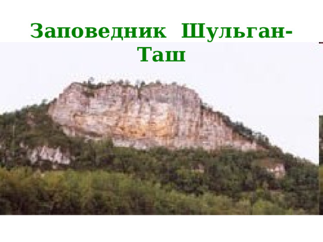 Заповедник Шульган-Таш 