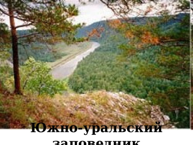 Южно-уральский заповедник 
