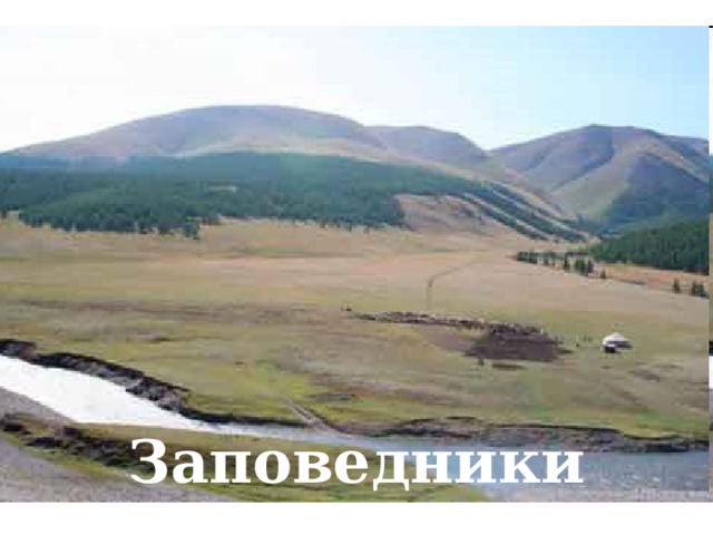Заповедники лесостепи 