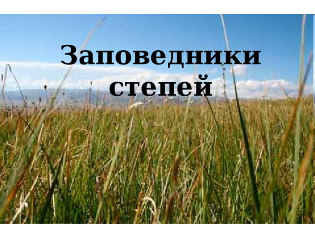 Заповедники степей 